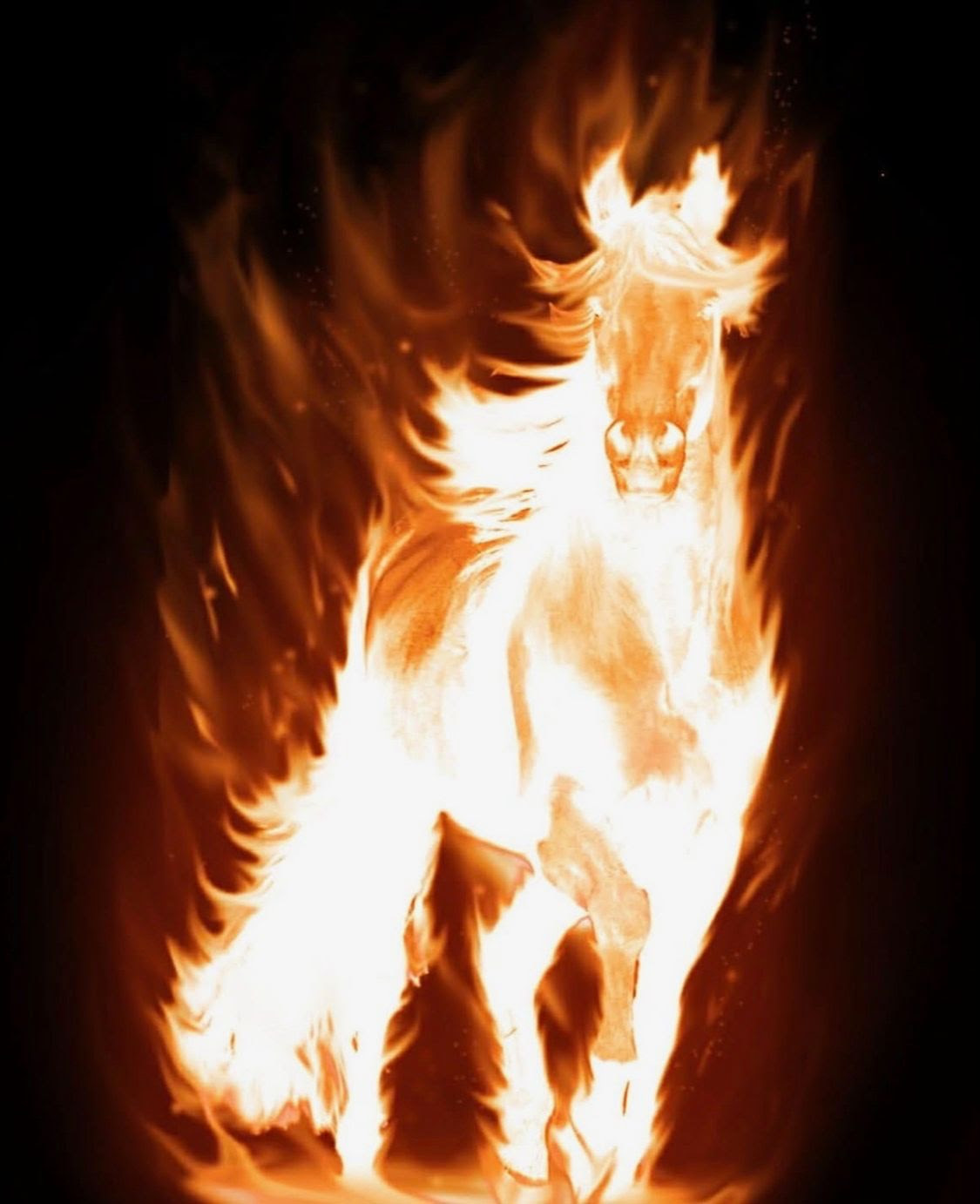 fire horse